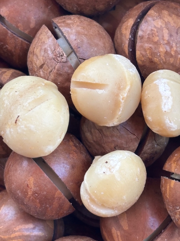 2025年新货手捏特大夏威夷果