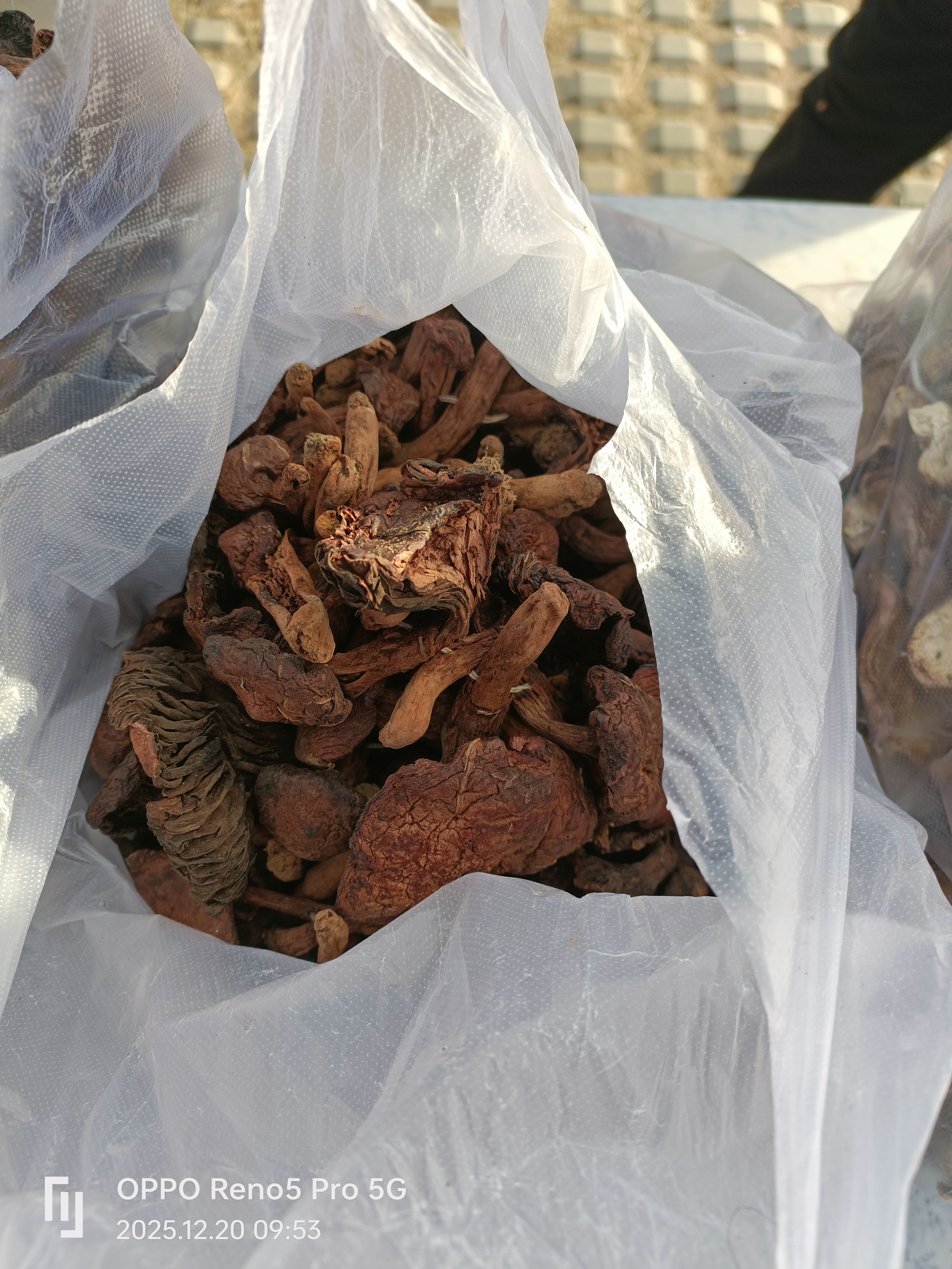 东北特产自然晾晒中个肉厚红蘑干货
