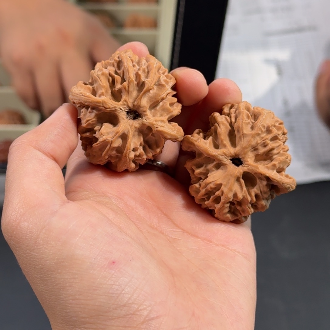 文玩核桃把件215号全品苹果园