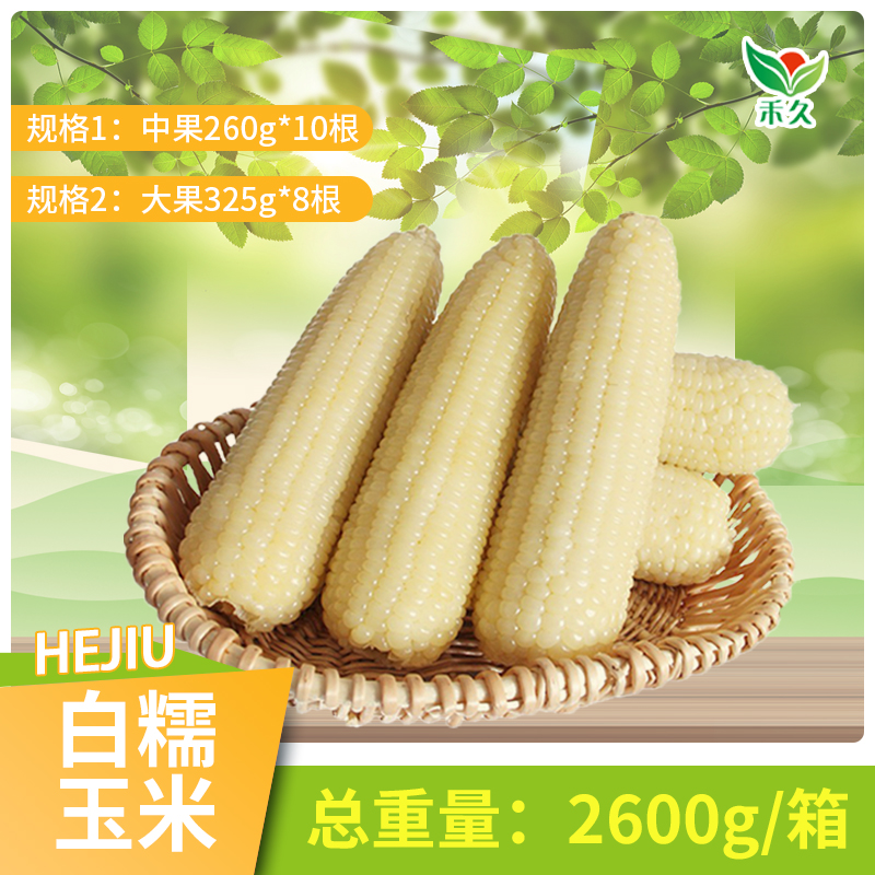 【禾久】白糯玉米（大果300g-350g/根*8根，中大果260g-300g/根*10根）