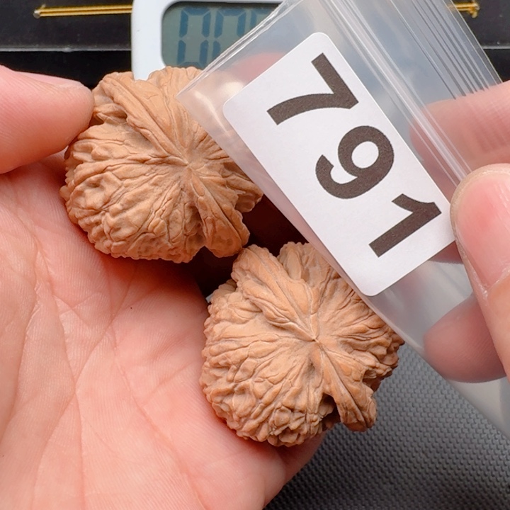 文玩核桃把件X*白狮41