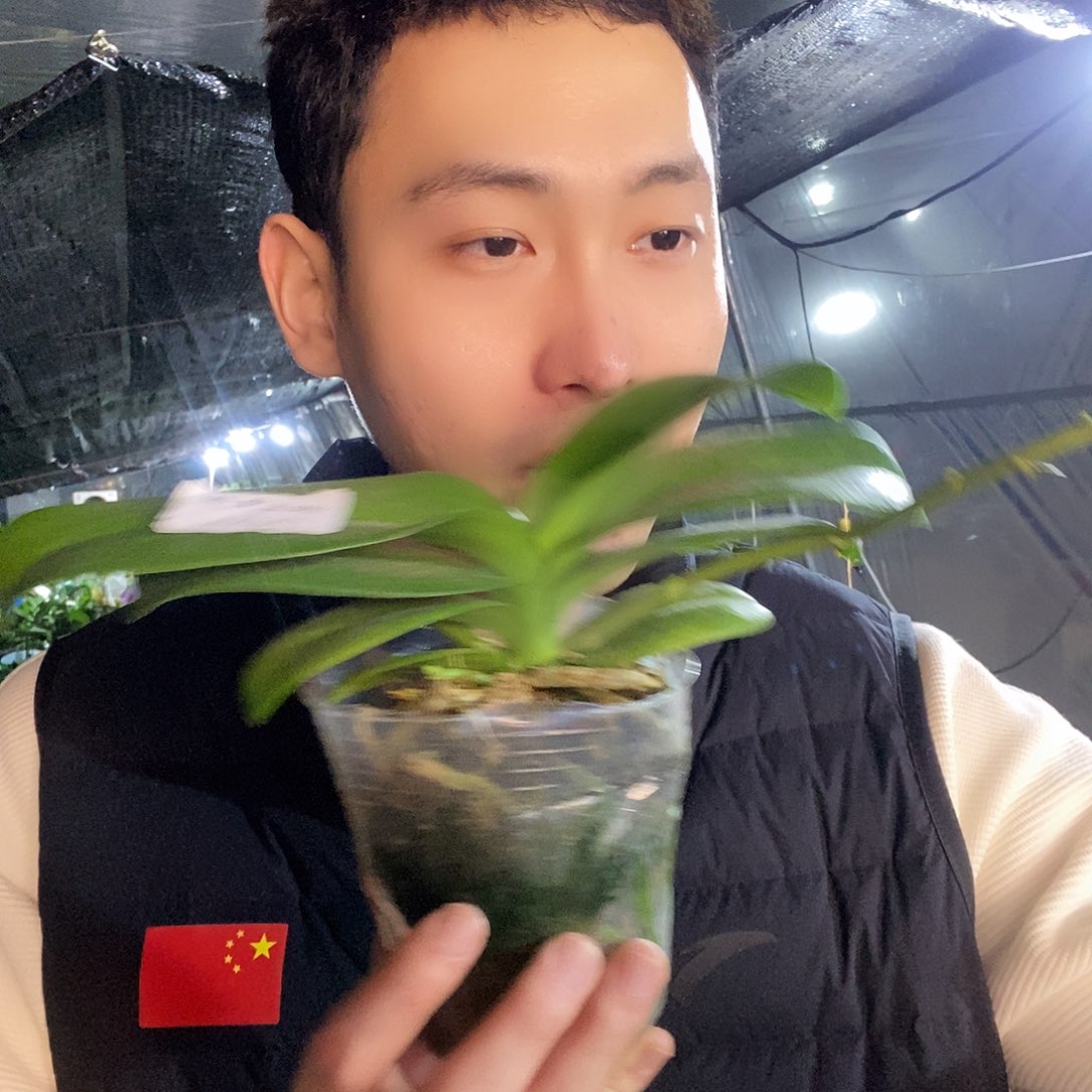 无花朵欧品小蓝福利