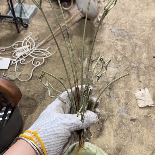 哈哈我也是很喜欢的呢