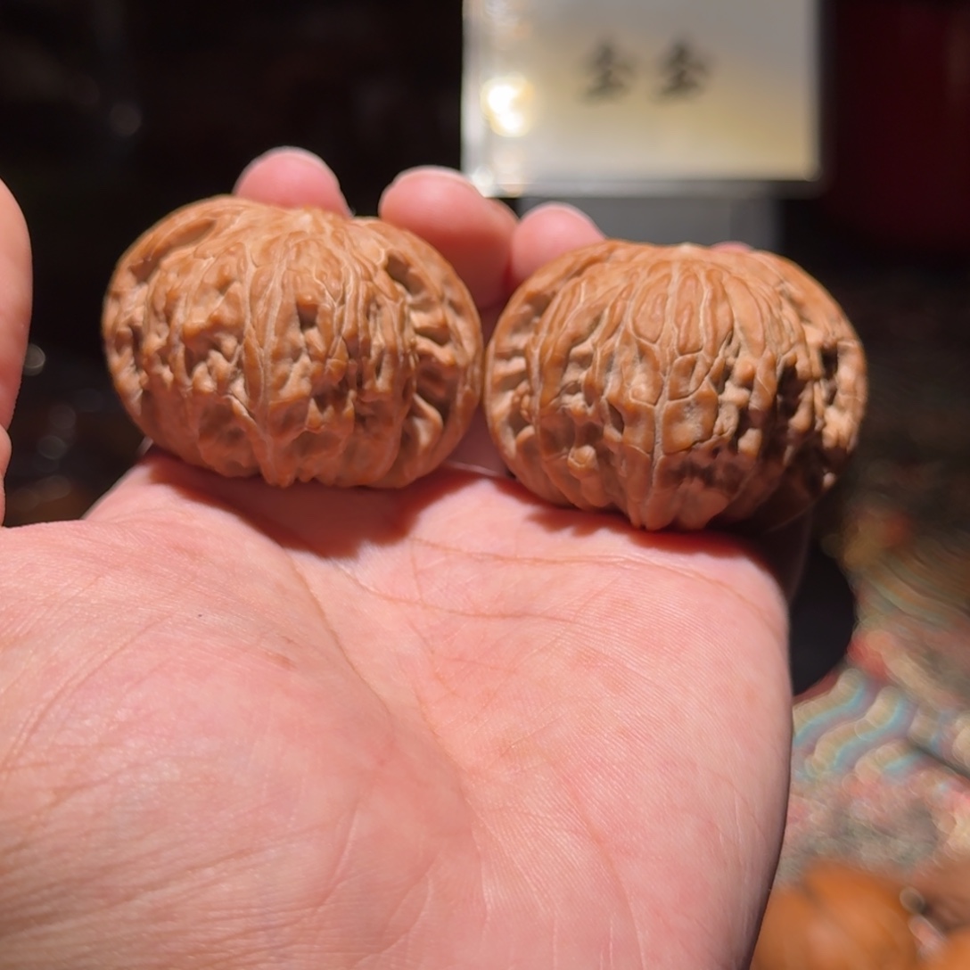 把件核桃627正磨王，尺寸47