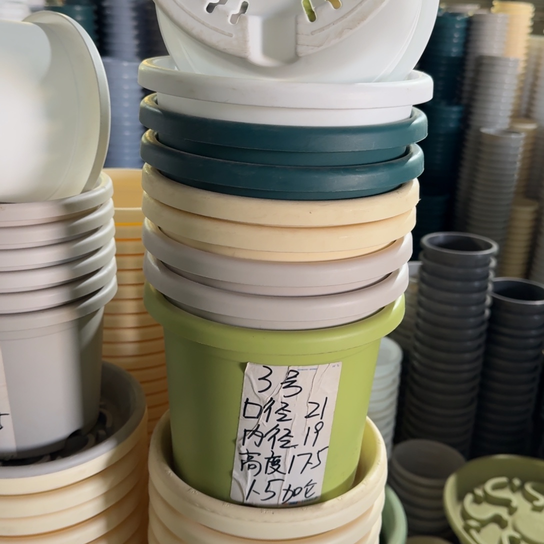 四季3#口径21无拖果绿10个