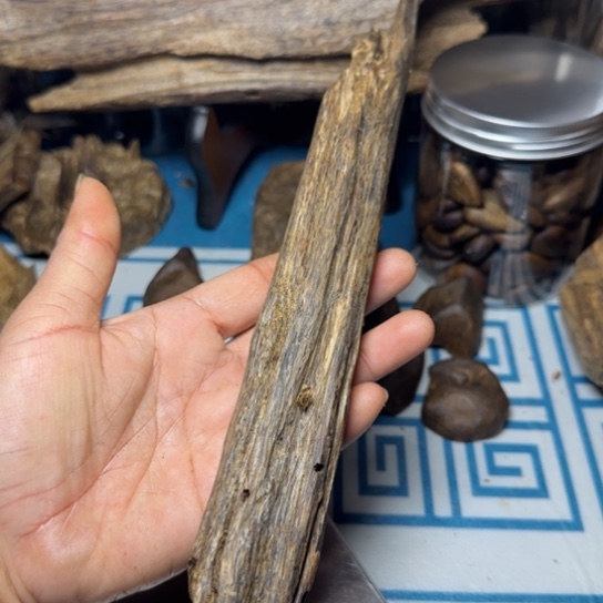 木质海南紫奇树心虫漏64克