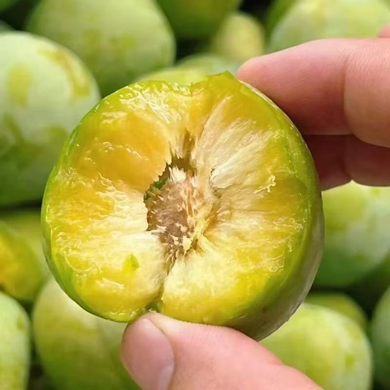 正宗脱骨新鲜现采现采脆甜可口新鲜由土豆果园发货