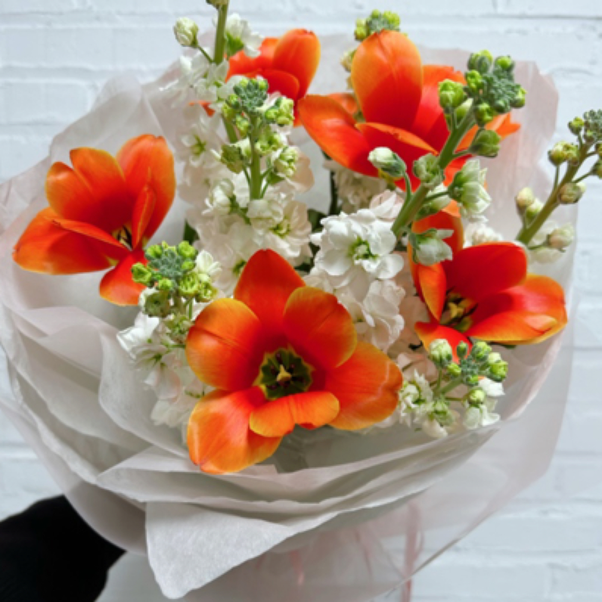 7枝紫罗兰6枝郁金香花束鲜花日照市区同城速递