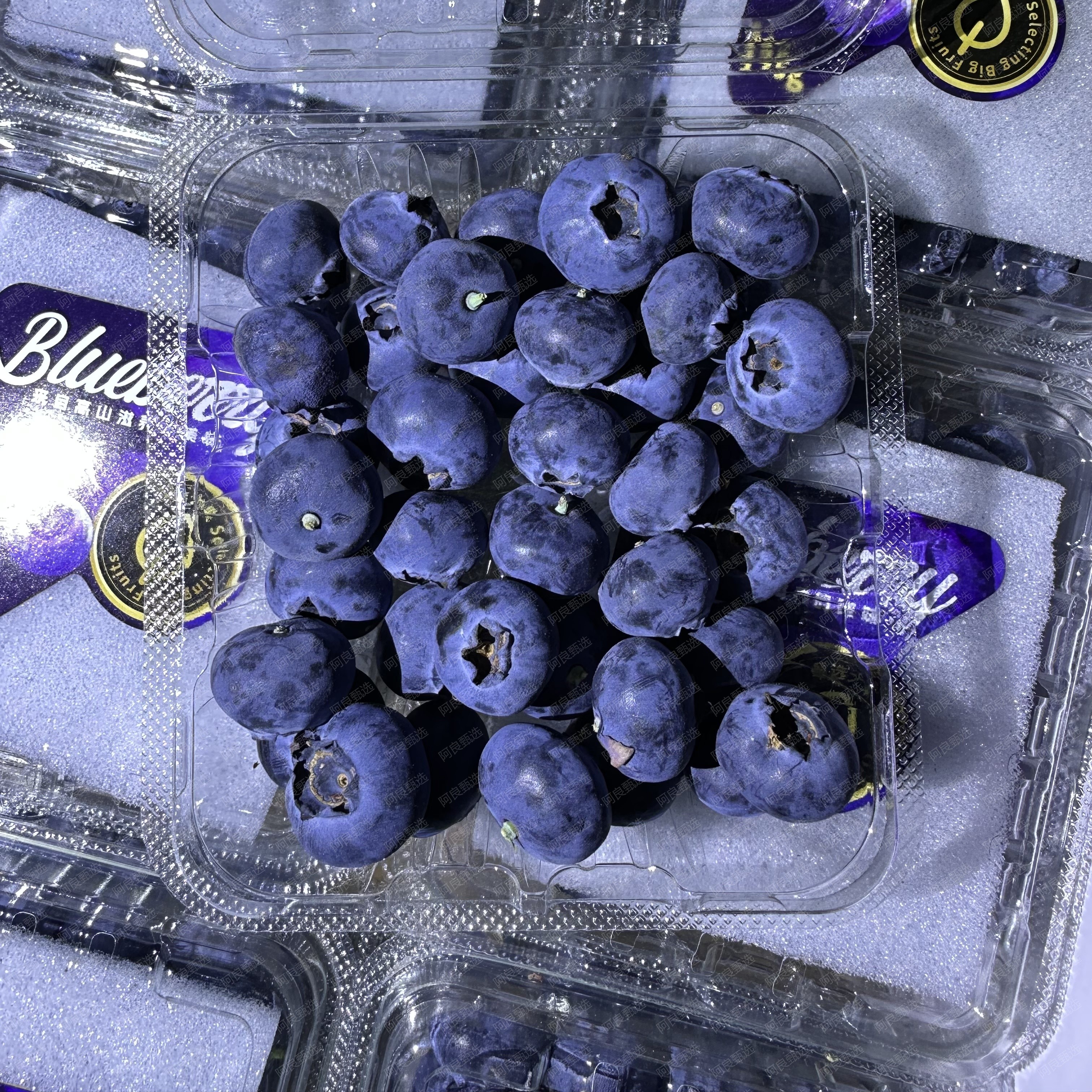【带枝头】枝花妖-四川蓝莓125g一盒新鲜水果顺丰包邮