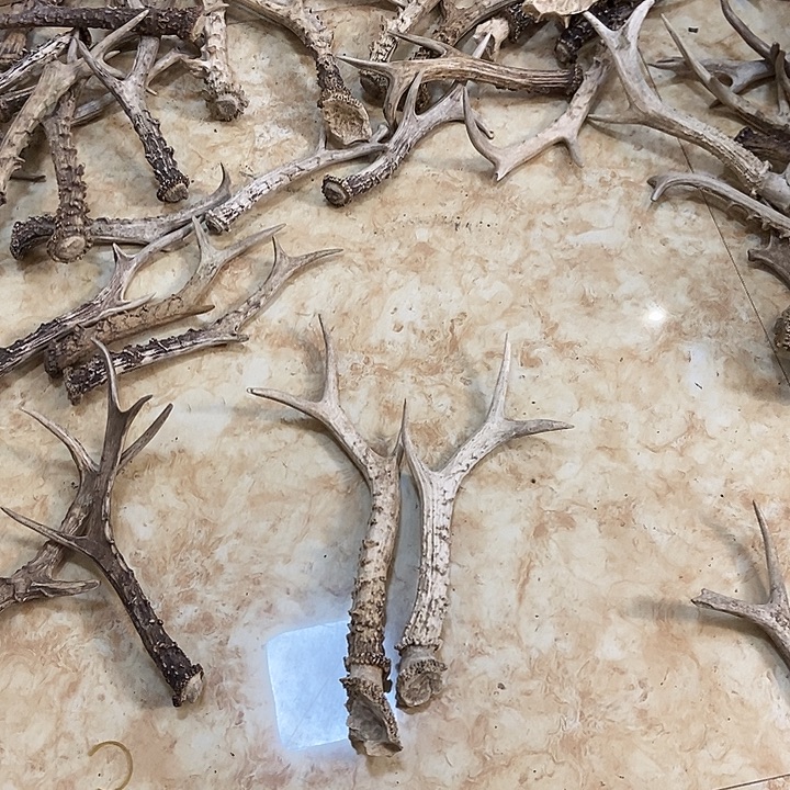 我***大叶紫檀（黑酸枝木类）