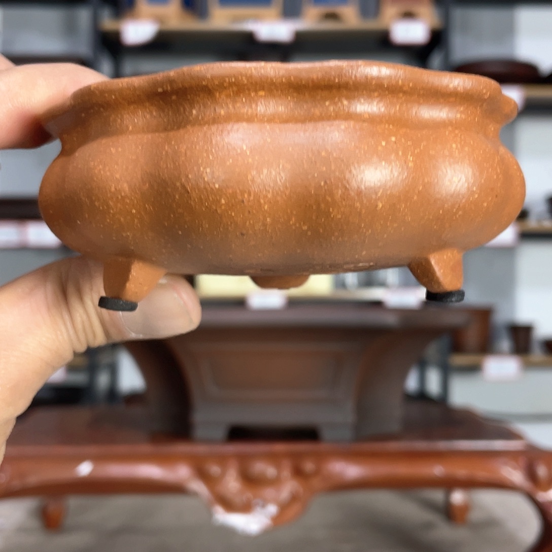 无铅玻璃王****森456777667676677