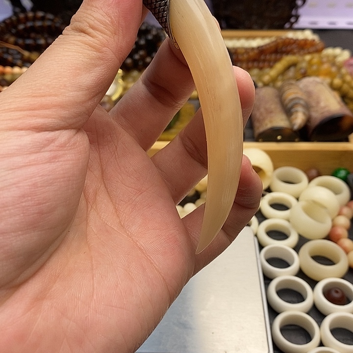 大果紫檀（缅甸花梨）