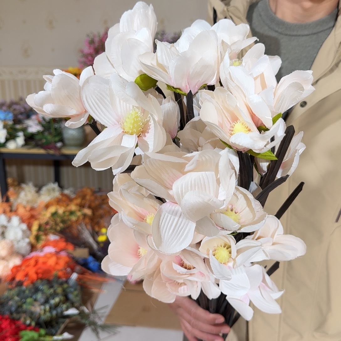 683号孤品大支10支