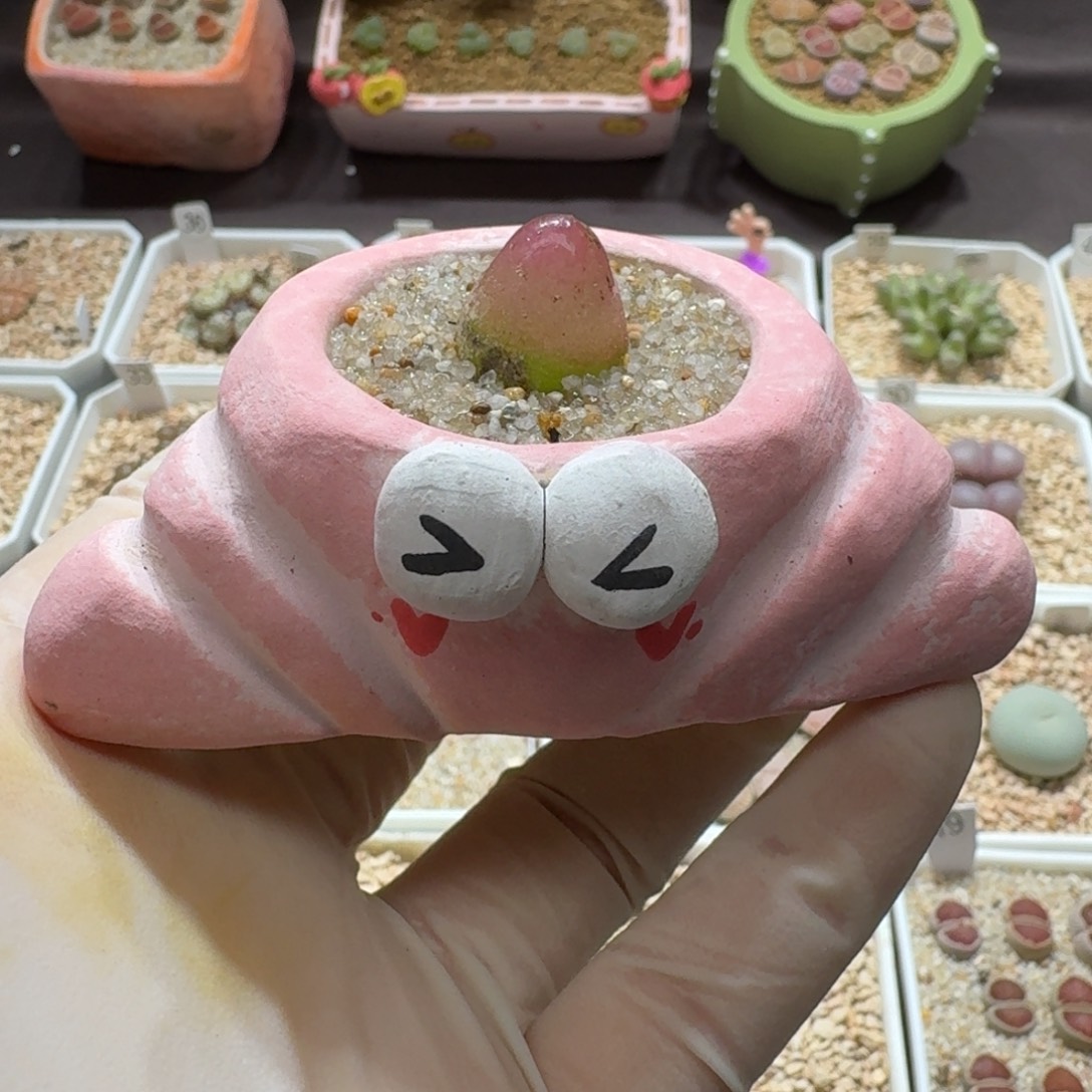 0910-080连盆带花灯泡