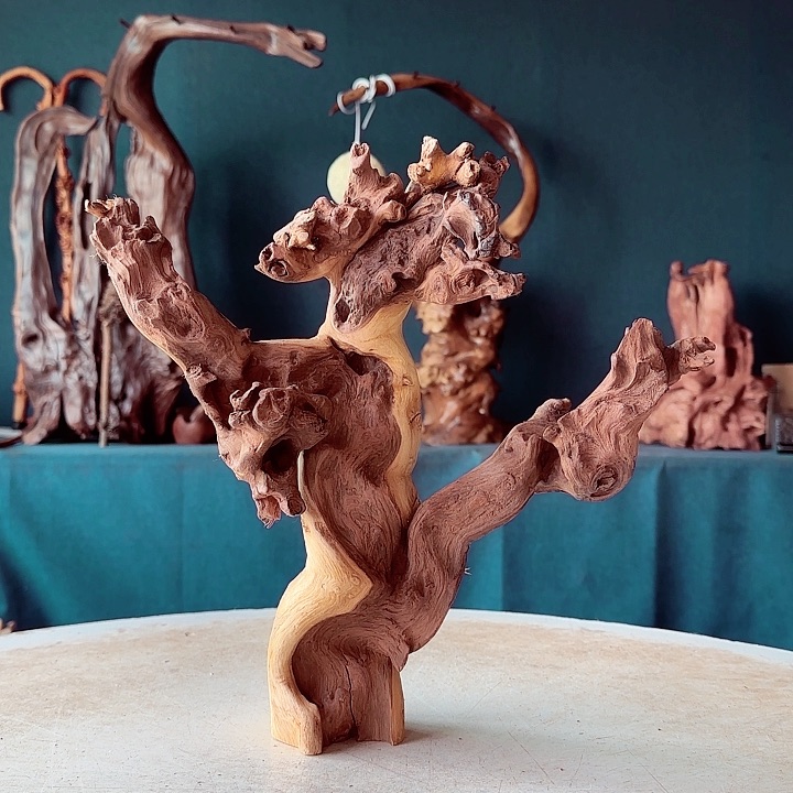 黑果木《****》749金丝红木羊蹄甲半成品