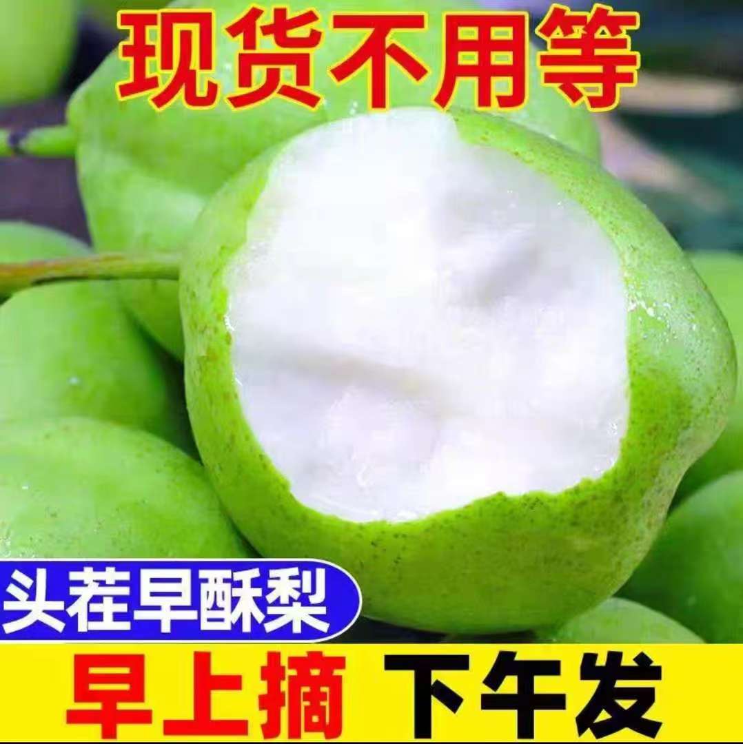 东北辽宁鞍山早酥梨 皮薄肉厚汁水足 产地直发