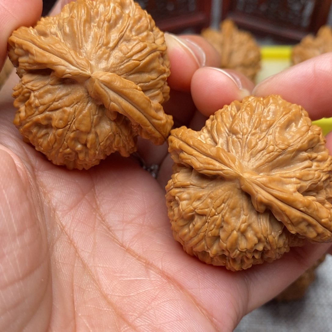 文玩核桃把件全品肉球老树白狮子44尺