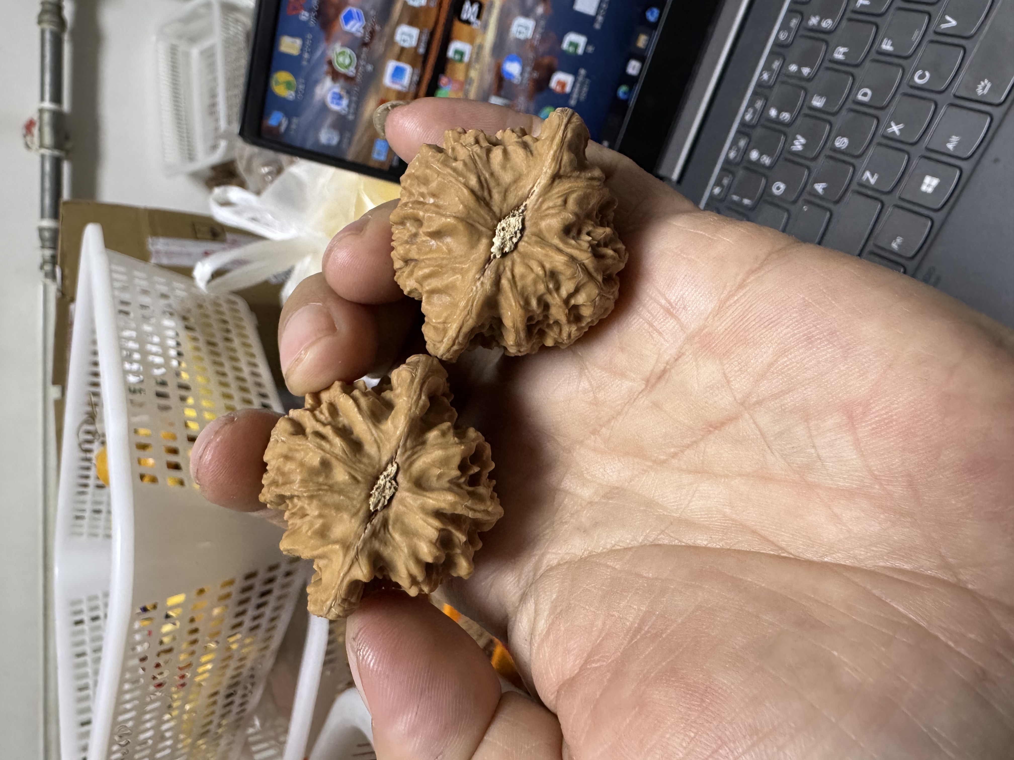 原树魔瞳S级文玩核桃