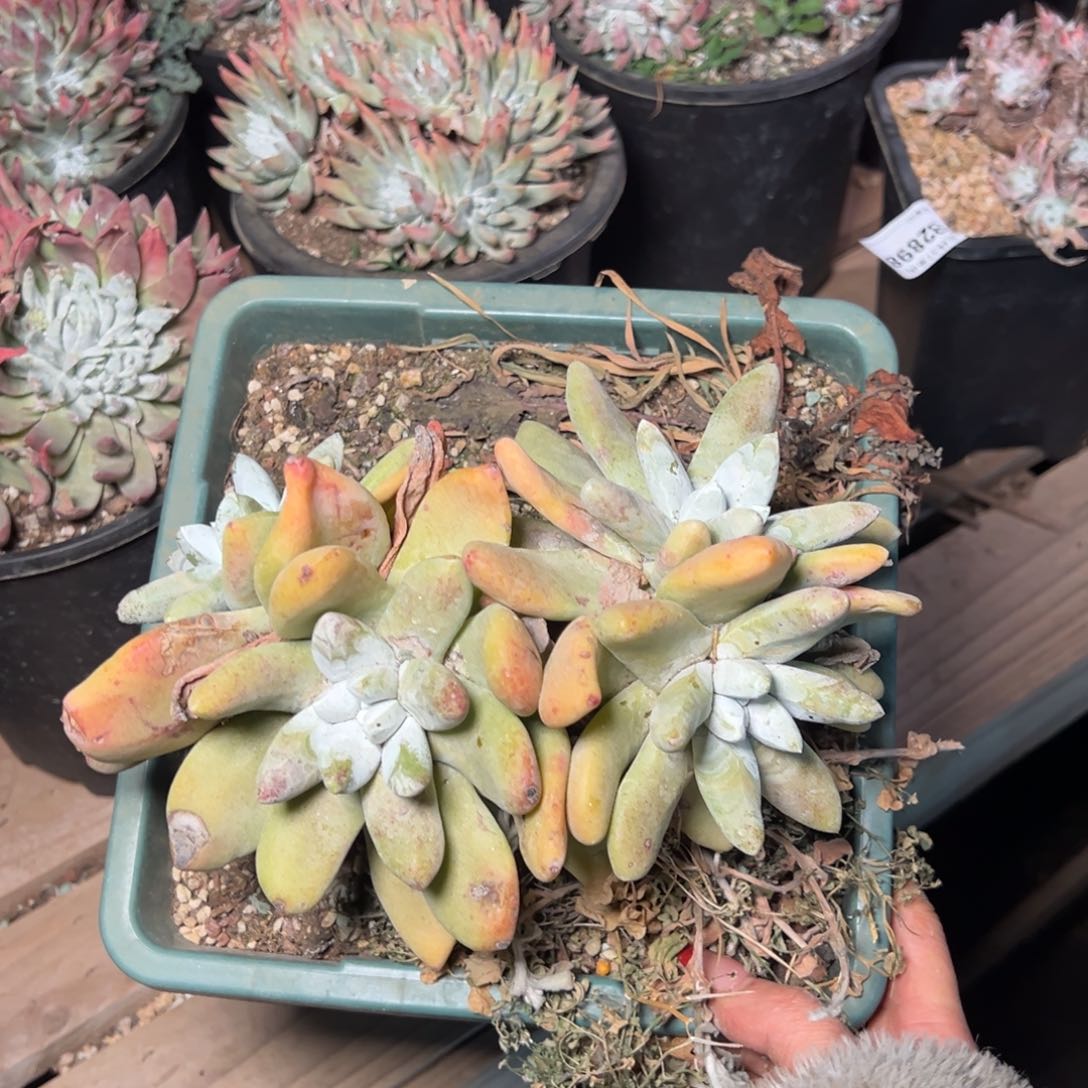 719哈哈哈哈哈哈哈哈哈