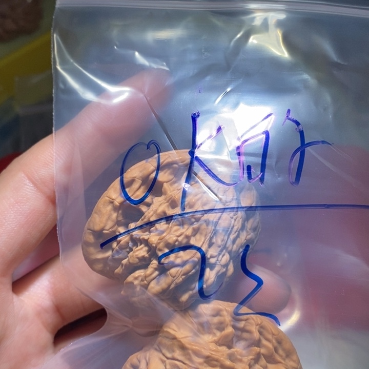 O***的吊坠文玩核桃精品课程等课程教学工作