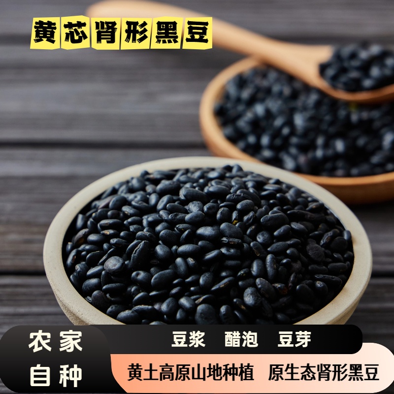 陕北农家自种肾形黄仁小黑豆可打豆浆发豆芽肾形黑豆老品种黑豆