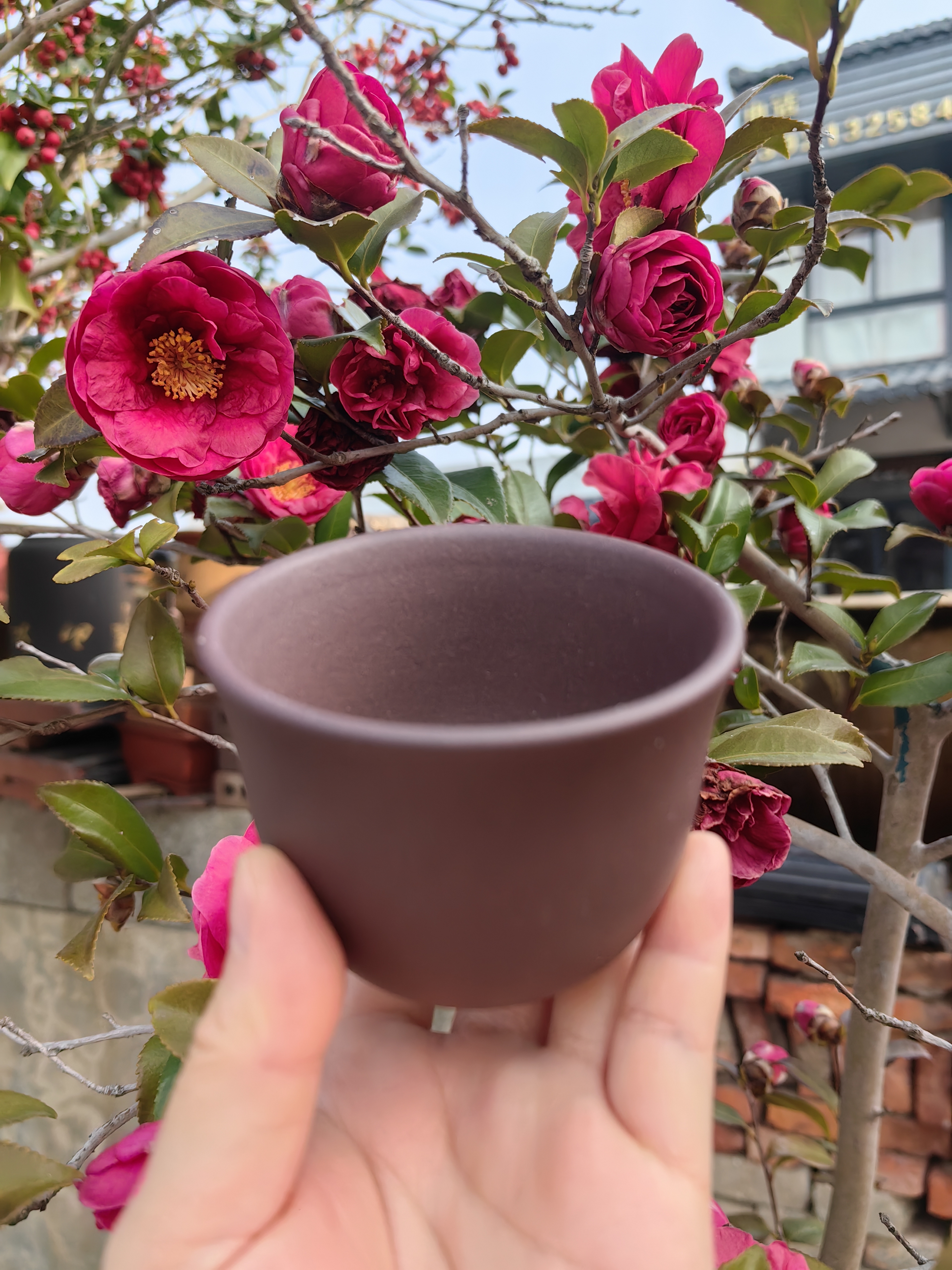 主人杯宜兴原矿黄龙山无添加老紫泥纯手工半手制紫砂壶100容量