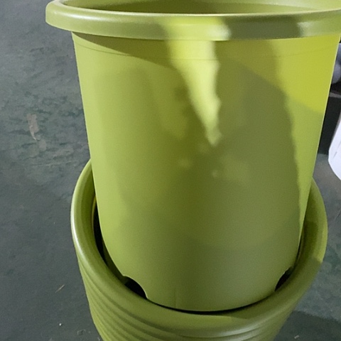 树脂四季8号果绿无托5个微瑕