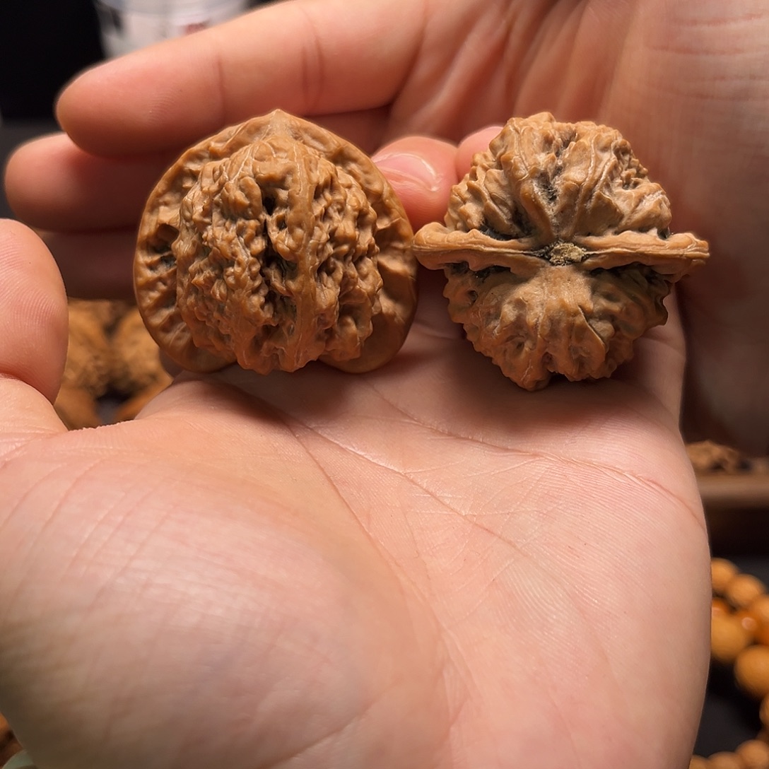 手串/手链核桃原树兴隆蚂蚁沟43