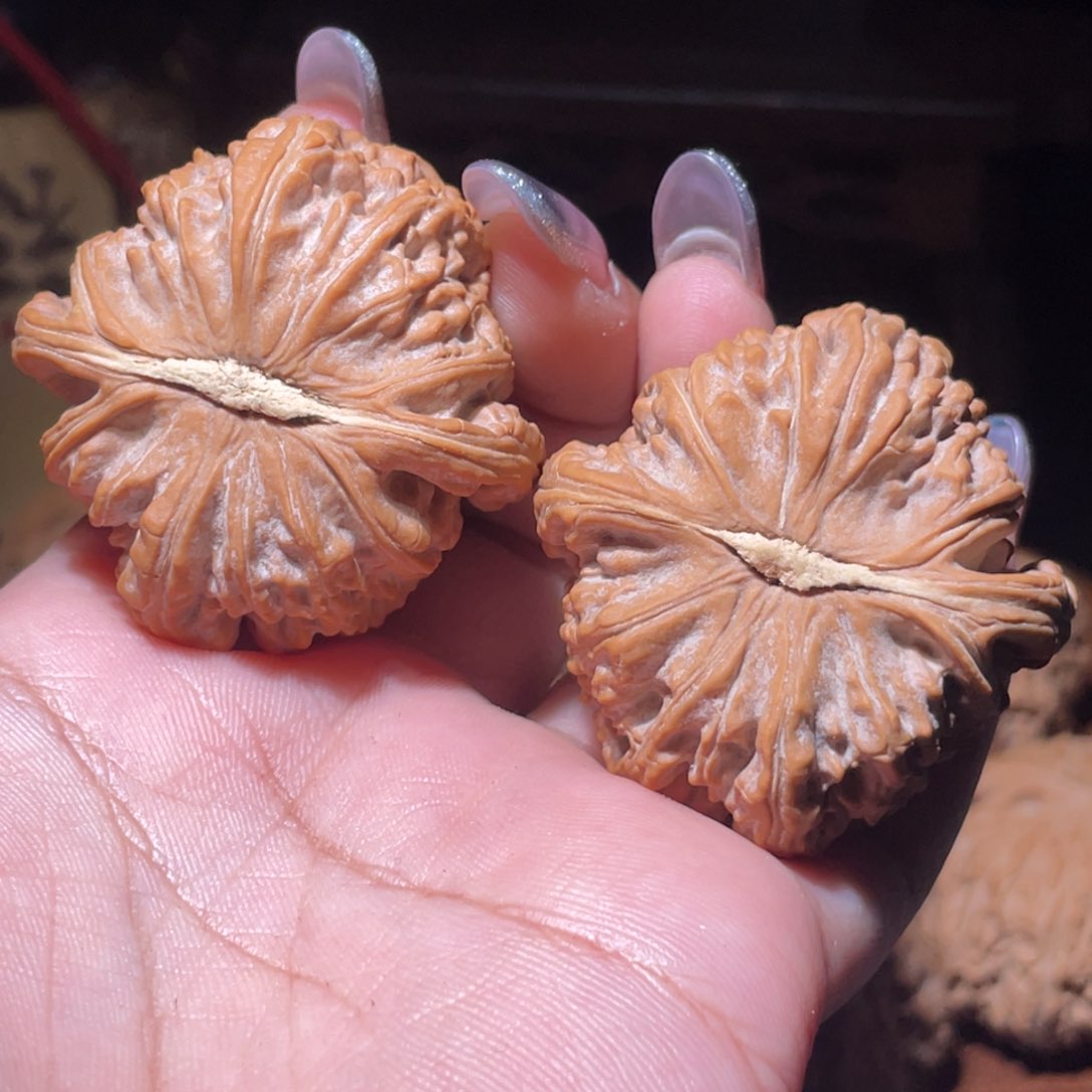 把件文玩核桃胖****、白狮子41