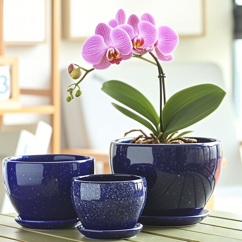 花盆陶瓷大号捡漏清仓带托盘家用桌面兰花简约绿萝吊兰多肉小花盆