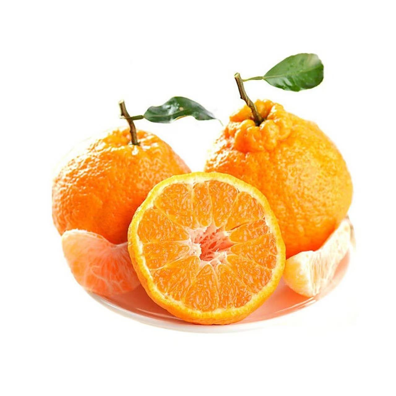 春见耙耙柑礼筐送礼首选四川省