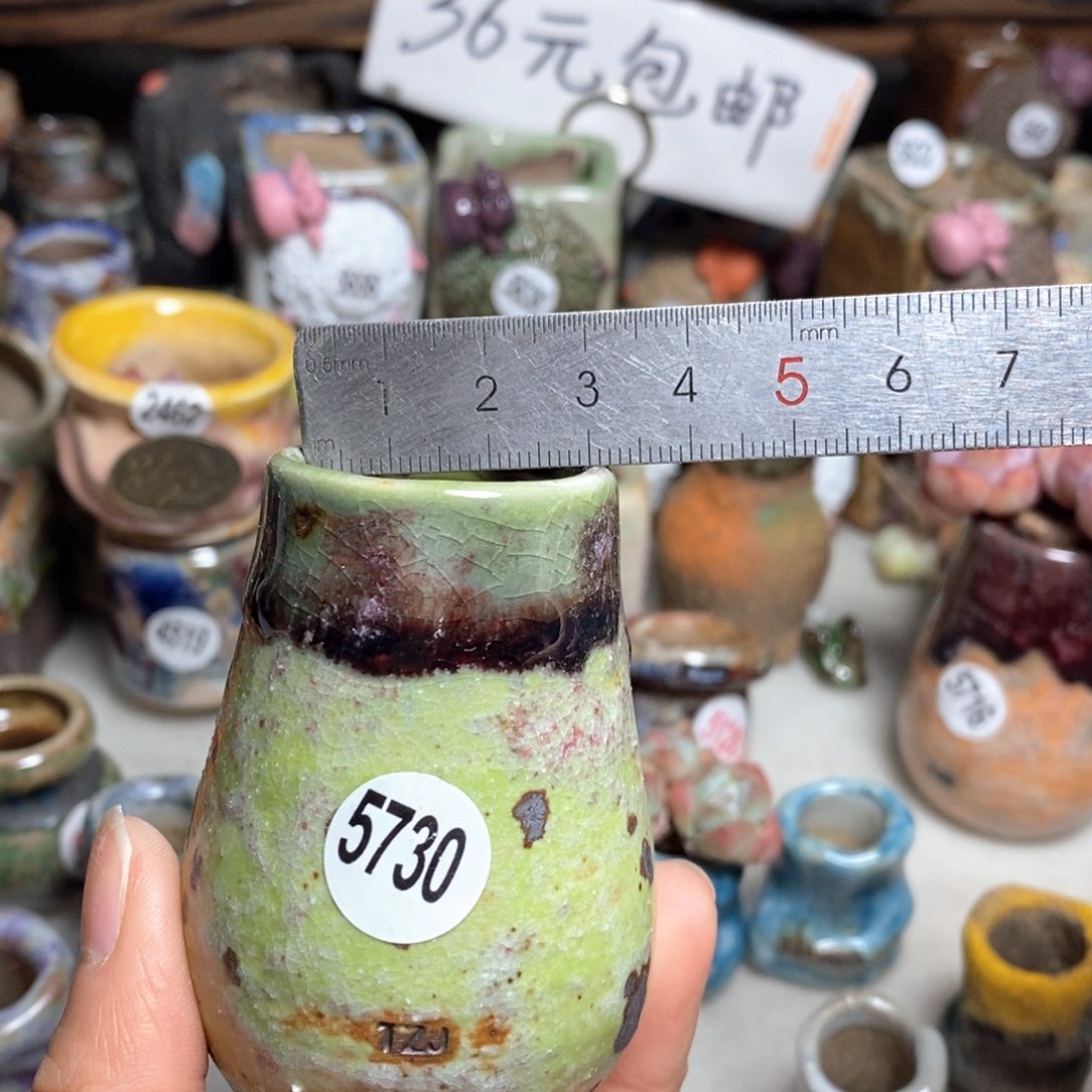 拍5送一个小礼物