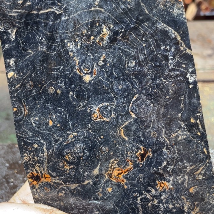 @***哥黄花梨88888888888888888888889889899999999999999