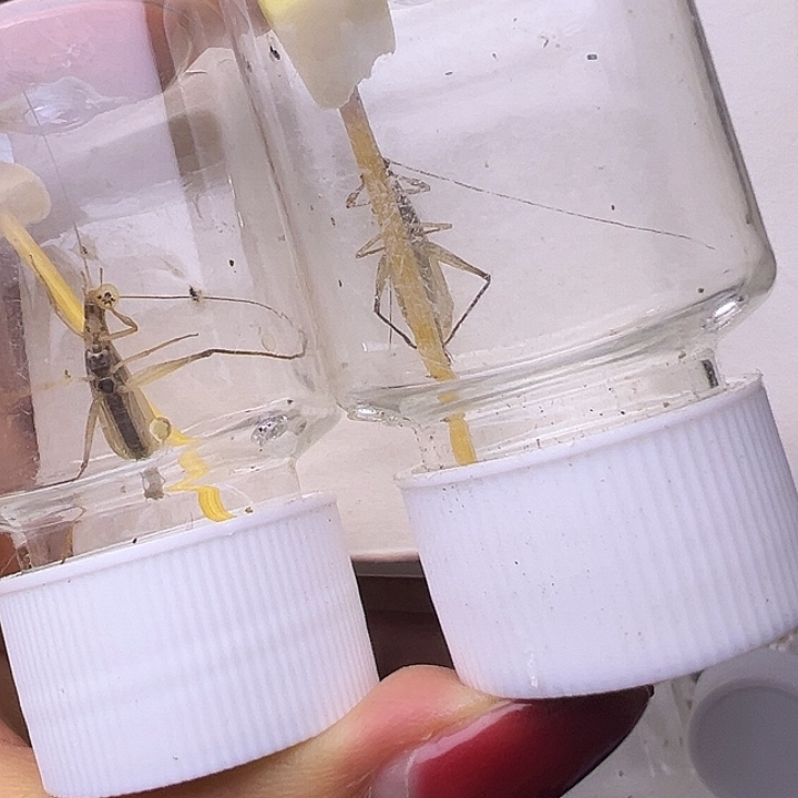 自***人哈哈哈哈哈哈哈哈哈哈哈哈哈哈哈