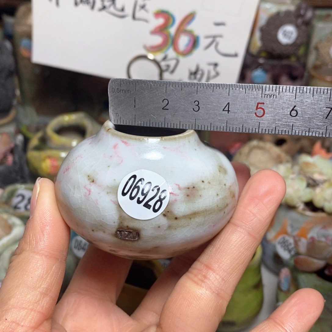 花盆拍5送一个小礼物