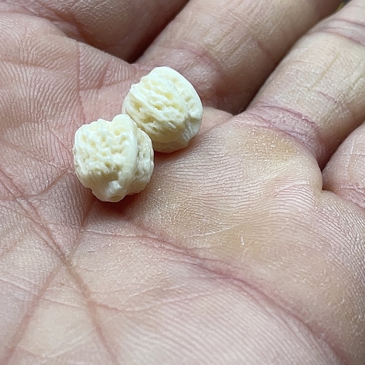 趴***猫猛犸猛犸桃壳桃壳