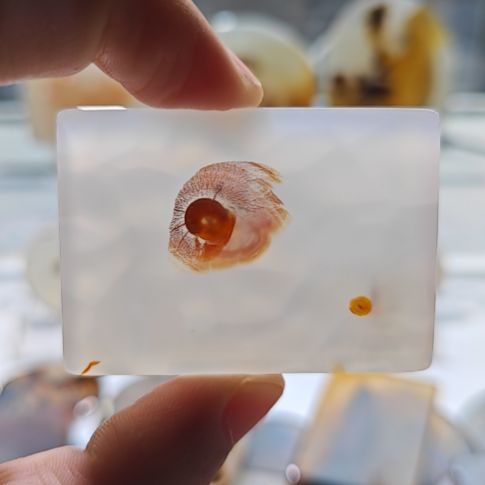 狼***子玛瑙/玉髓未镶嵌吊坠(不含链)