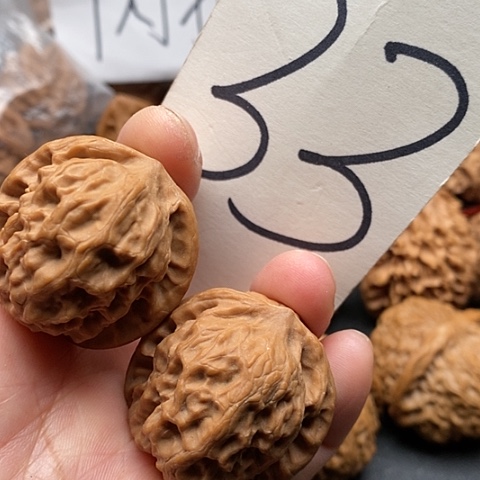 桃核吊坠35全品野狼