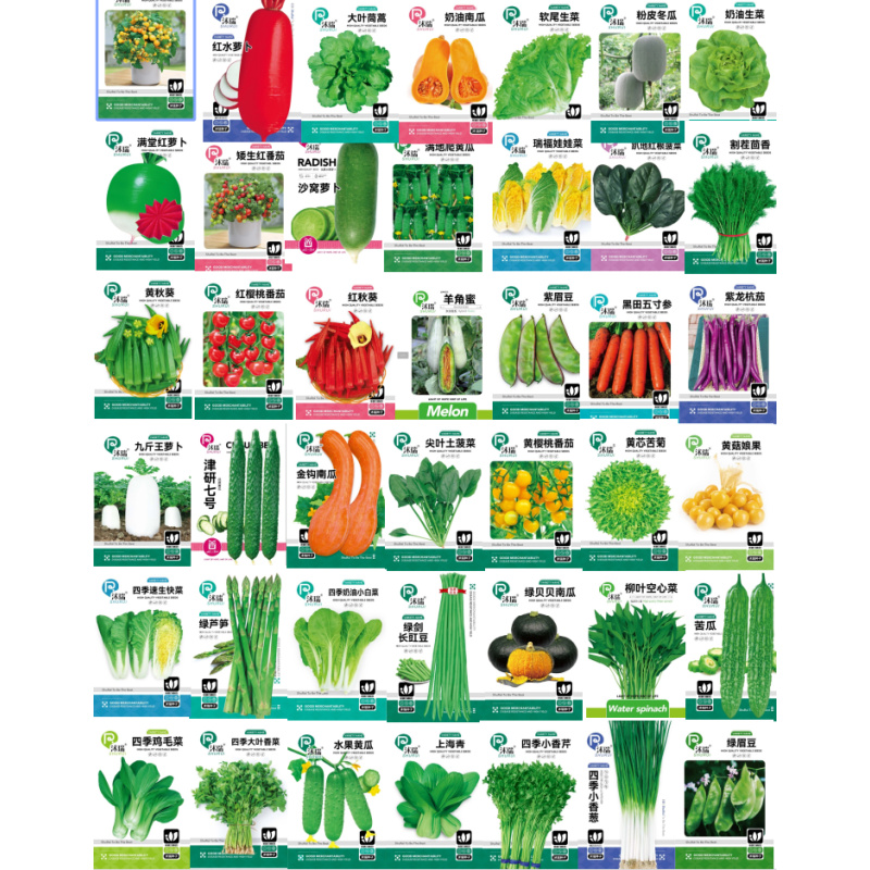 【满3包包邮  满5包送一包】各种菜苔菜心种子