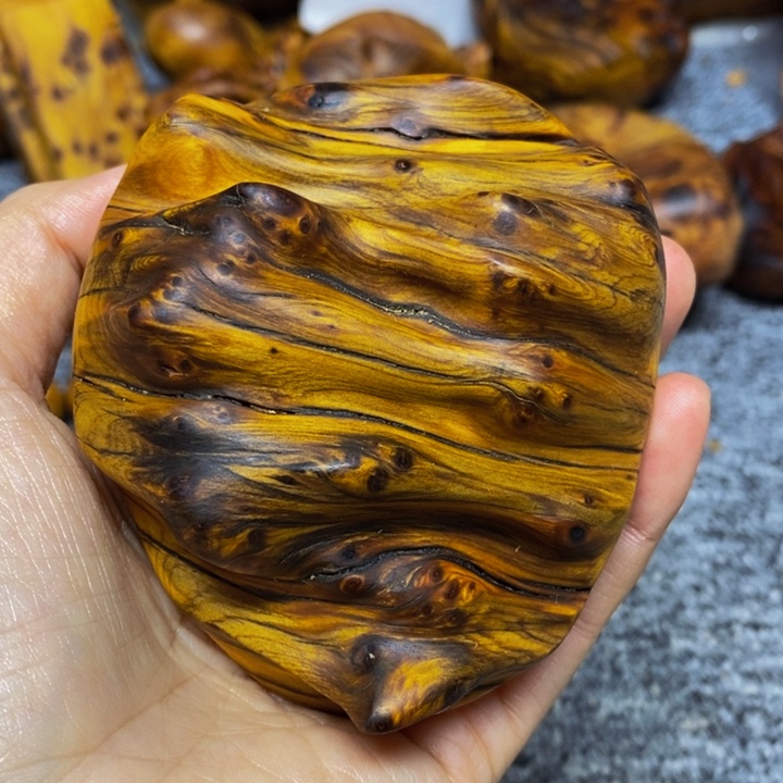 柏木（崖柏）崖柏245