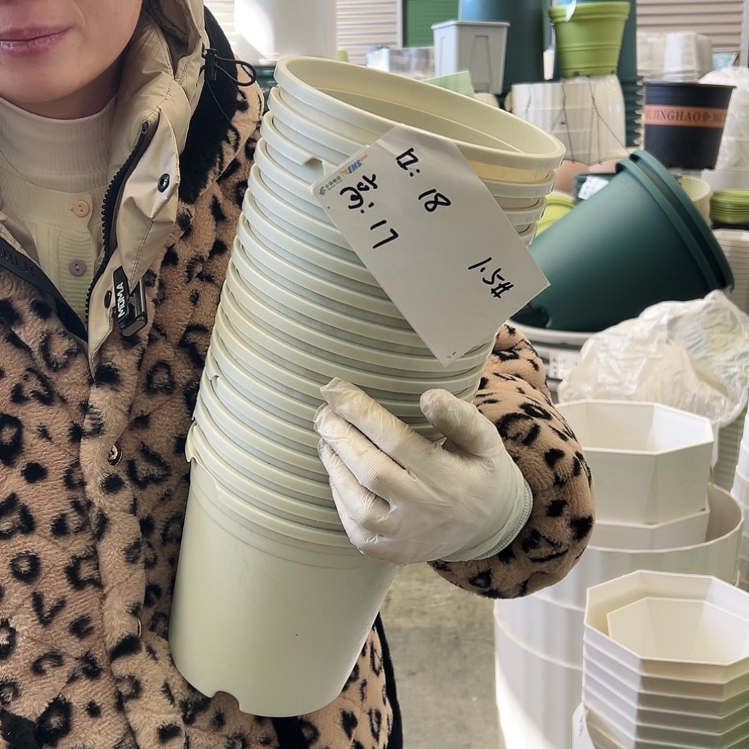 瑕疵加厚1.5#米白17个无托