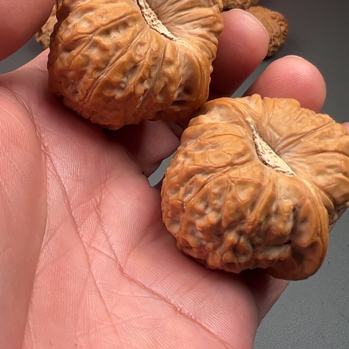 大叶紫檀（黑酸枝木类）南瓜墩核桃狮子头