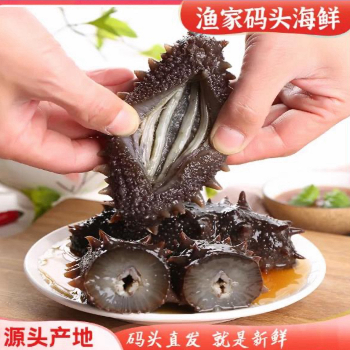 即食海参20根500克（解冻即可/海参蒸蛋/海参小米粥）