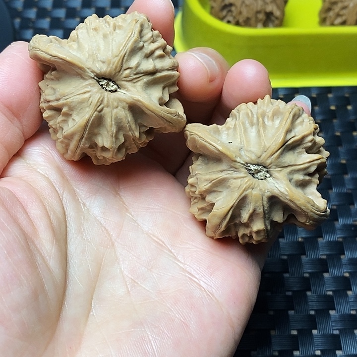 吊坠文玩核桃图图