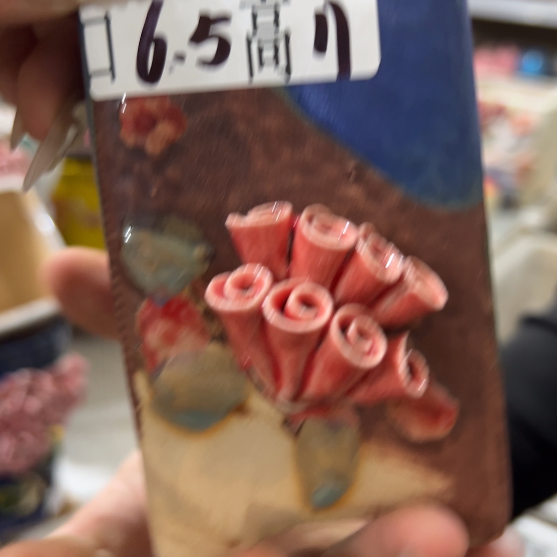 满18.8发货，秒拍秒退拉黑