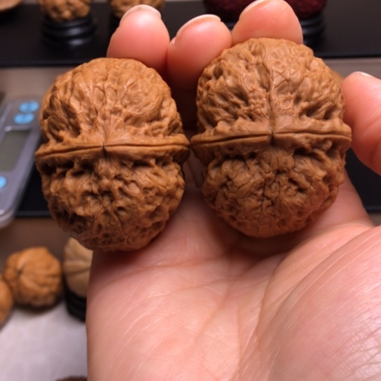 文玩核桃把件无*霸王龙6