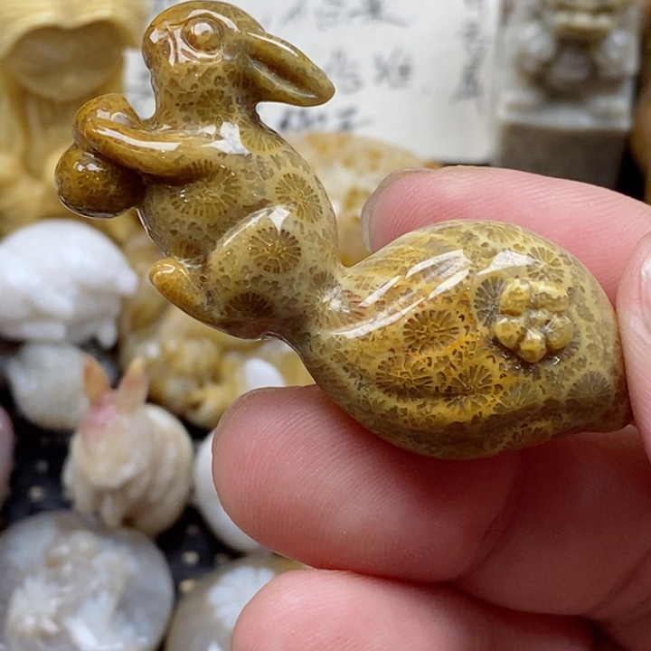 颈饰未镶嵌硅化珊瑚（珊瑚玉）