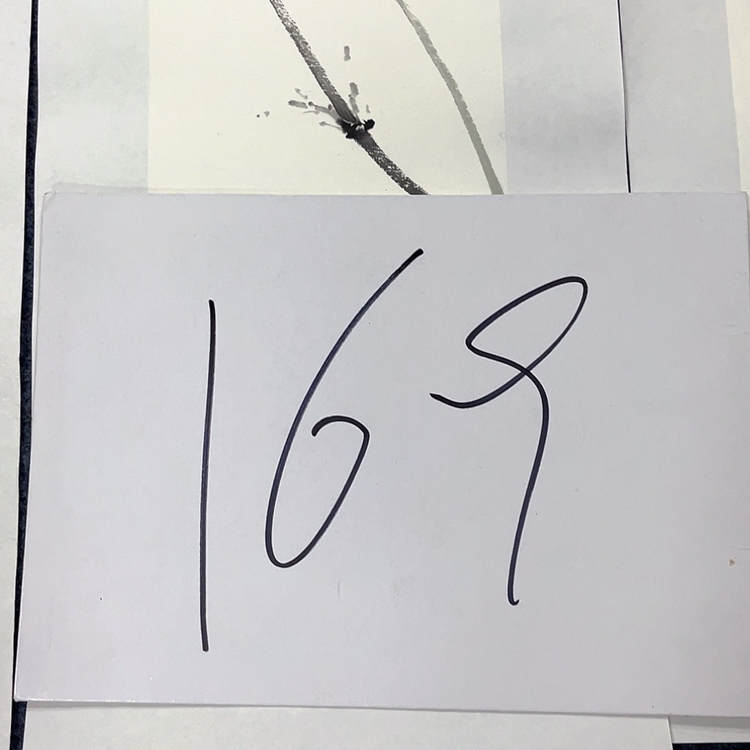 国画国画老师作品