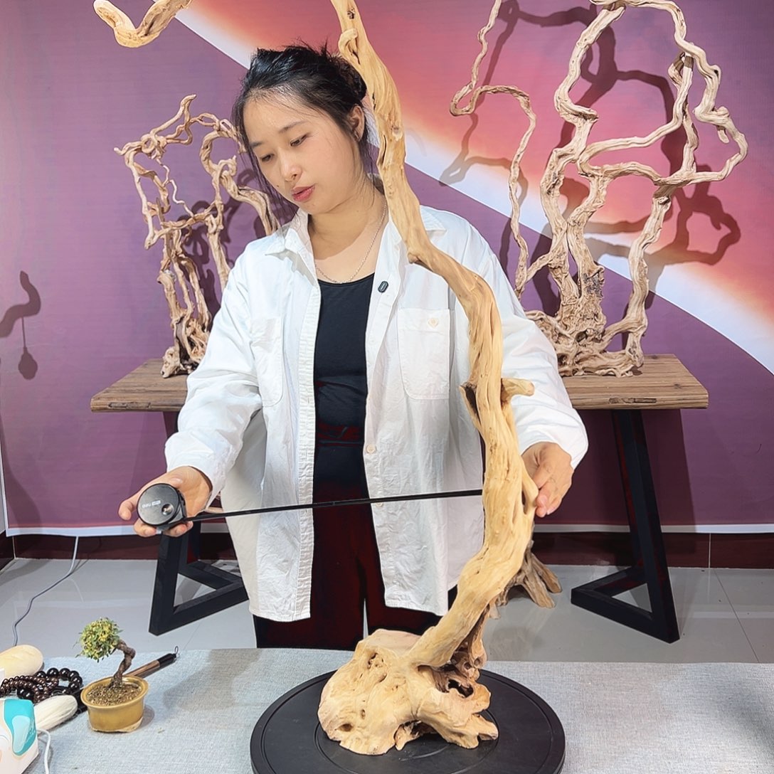 江****木天然杜鹃根艺摆件