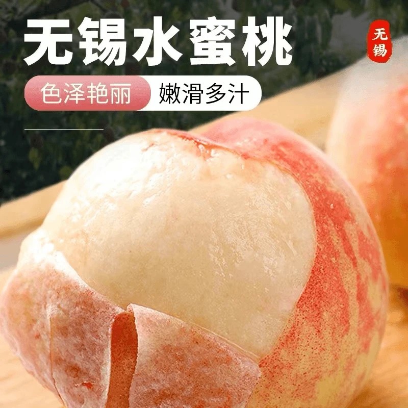 【湖景】正宗无锡水蜜桃5-6两8/12只装礼盒装 水果香甜爆汁